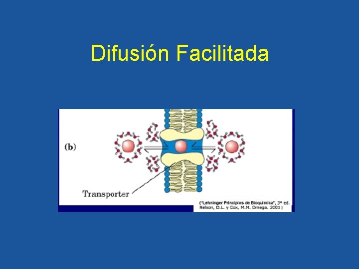 Difusión Facilitada 