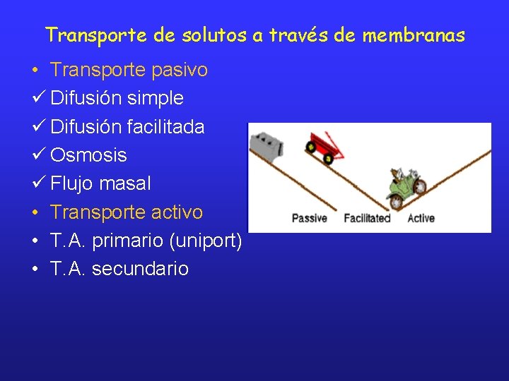 Transporte de solutos a través de membranas • Transporte pasivo ü Difusión simple ü