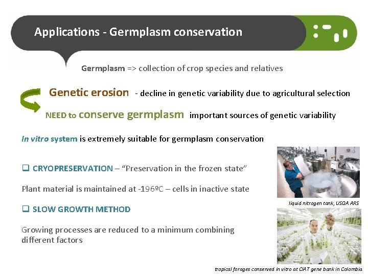 Applications - Germplasm conservation Germplasm => collection of crop species and relatives Genetic erosion