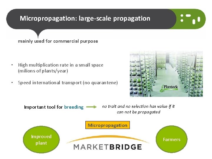 Micropropagation: large-scale propagation mainly used for commercial purpose • High multiplication rate in a