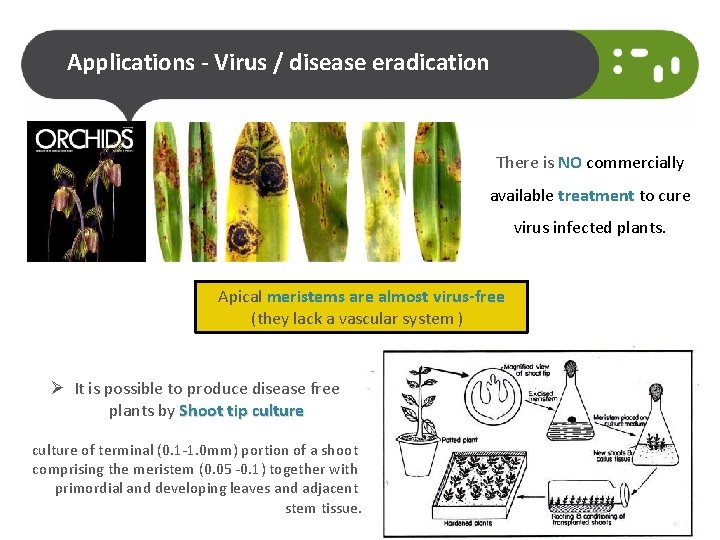 Applications - Virus / disease eradication There is NO commercially available treatment to cure