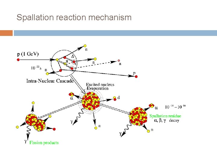 Spallation reaction mechanism 