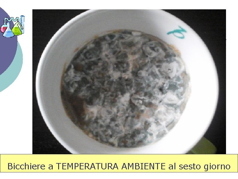 Bicchiere a TEMPERATURA AMBIENTE al sesto giorno 