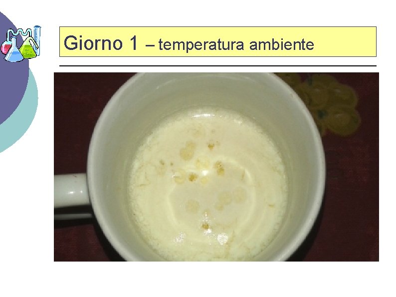 Giorno 1 – temperatura ambiente 