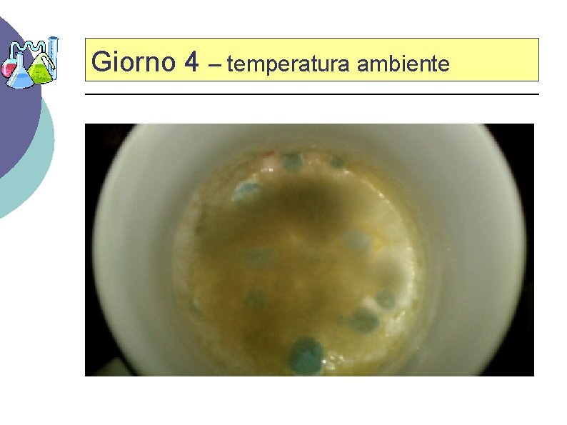 Giorno 4 – temperatura ambiente 