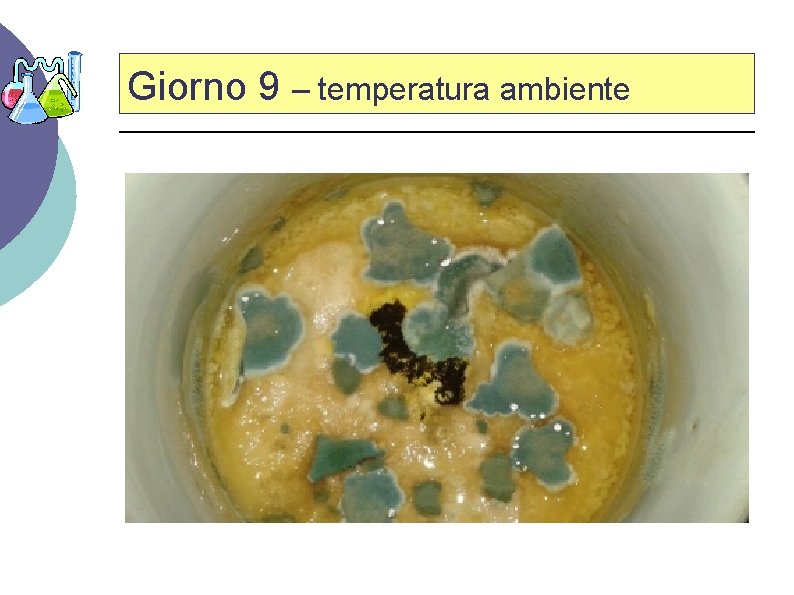 Giorno 9 – temperatura ambiente 