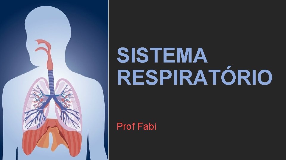 SISTEMA RESPIRATÓRIO Prof Fabi 