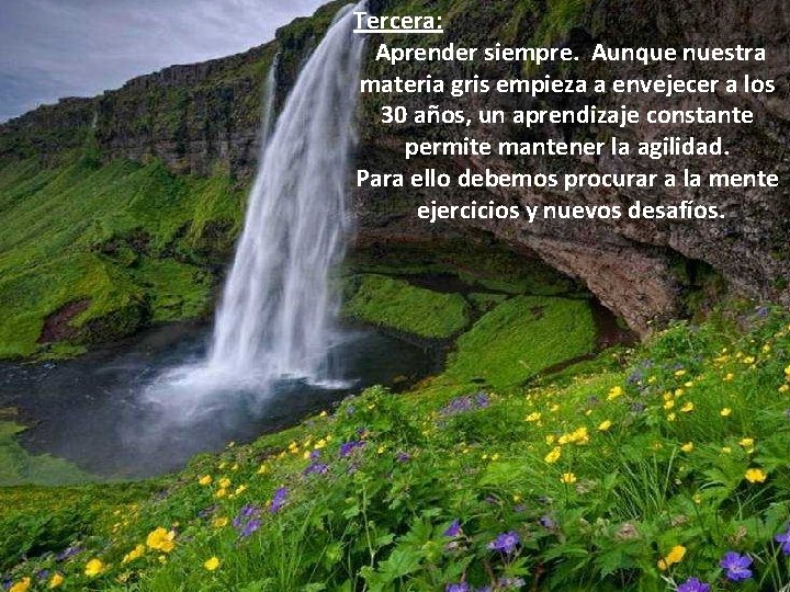 Tercera: Aprender siempre. Aunque nuestra materia gris empieza a envejecer a los 30 años,