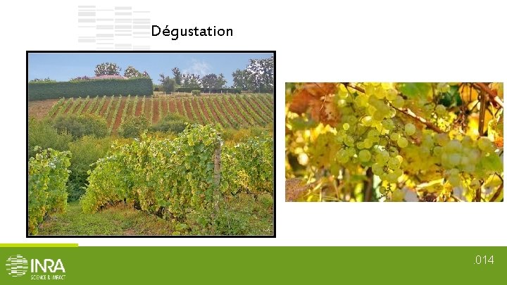 Dégustation . 014 Dégustation . 014