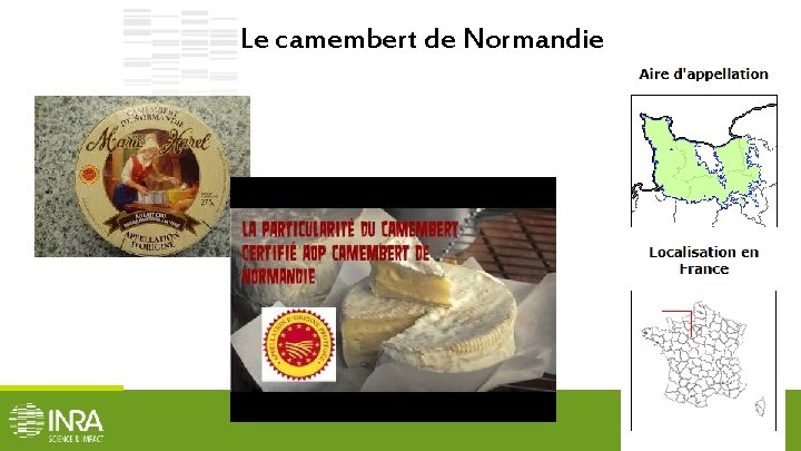 Le camembert de Normandie . 019 