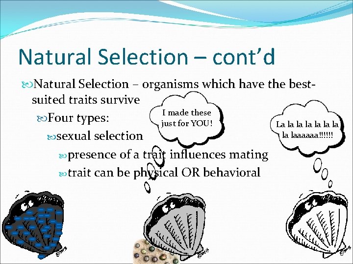 Natural Selection – cont’d Natural Selection – organisms which have the bestsuited traits survive