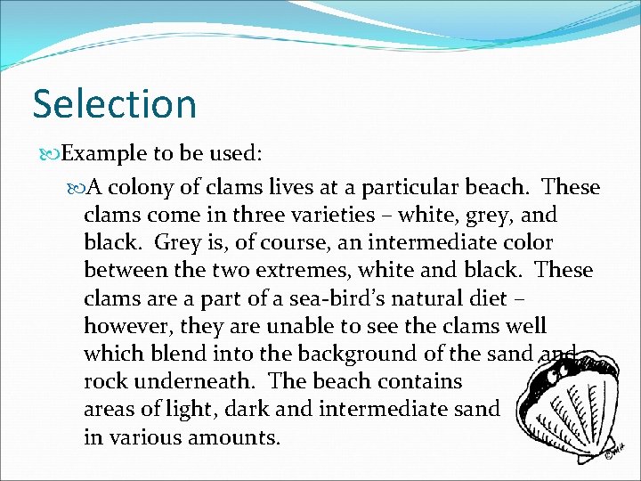 Selection Example to be used: A colony of clams lives at a particular beach.