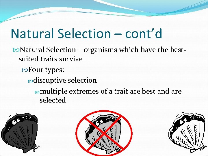 Natural Selection – cont’d Natural Selection – organisms which have the bestsuited traits survive