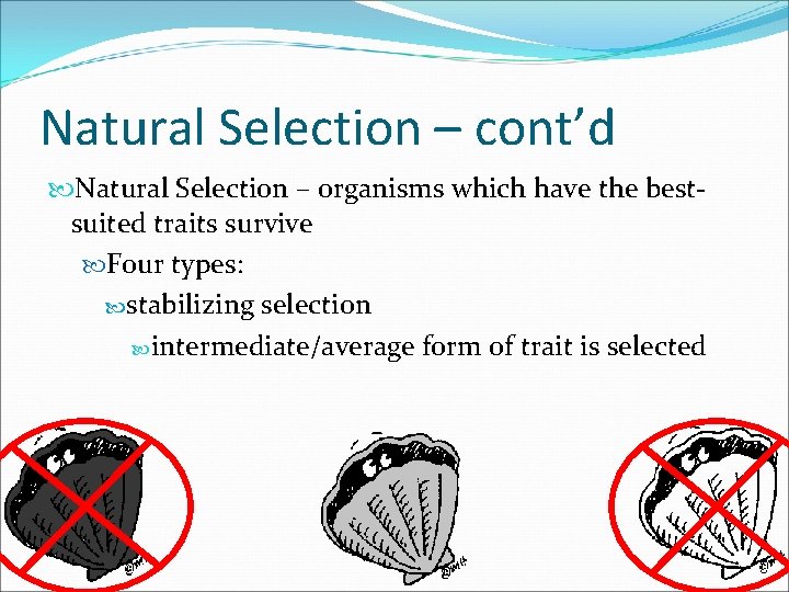 Natural Selection – cont’d Natural Selection – organisms which have the bestsuited traits survive