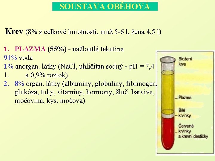 SOUSTAVA OBĚHOVÁ Krev (8% z celkové hmotnosti, muž 5 -6 l, žena 4, 5