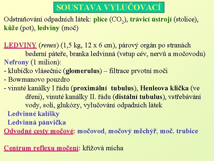 SOUSTAVA VYLUČOVACÍ Odstraňování odpadních látek: plíce (CO 2), trávicí ústrojí (stolice), kůže (pot), ledviny