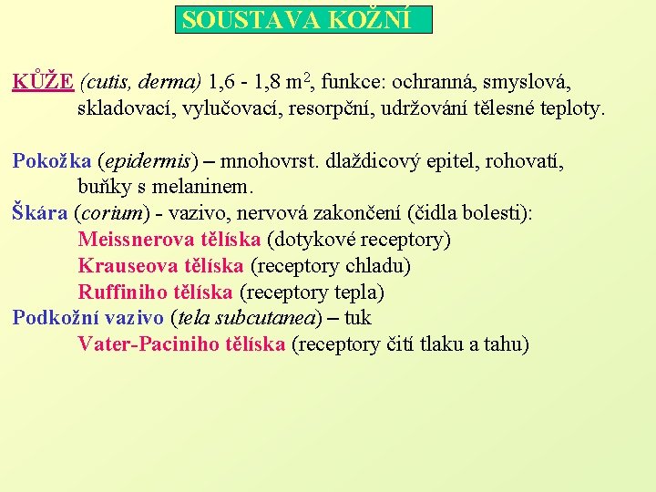 SOUSTAVA KOŽNÍ KŮŽE (cutis, derma) 1, 6 - 1, 8 m 2, funkce: ochranná,