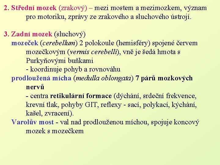 2. Střední mozek (zrakový) – mezi mostem a mezimozkem, význam pro motoriku, zprávy ze