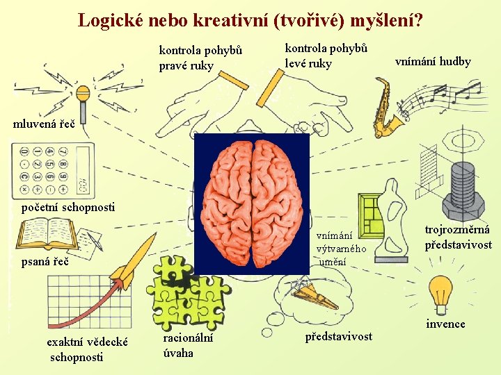 Logické nebo kreativní (tvořivé) myšlení? kontrola pohybů pravé ruky kontrola pohybů levé ruky vnímání