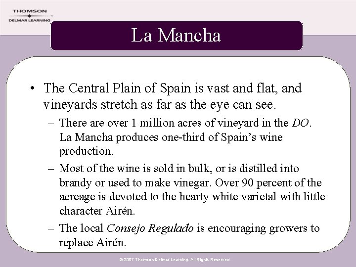 La Mancha • The Central Plain of Spain is vast and flat, and vineyards