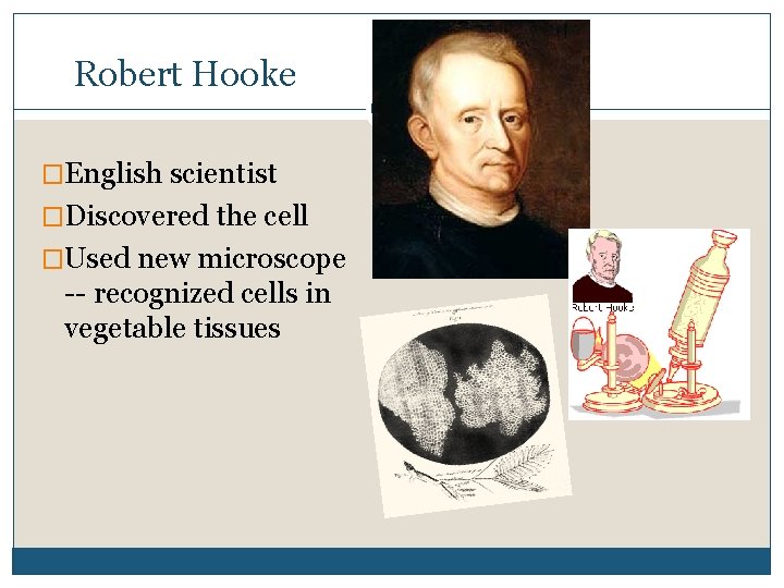 Robert Hooke �English scientist �Discovered the cell �Used new microscope -- recognized cells in