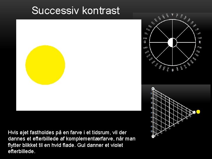 Successiv kontrast Hvis øjet fastholdes på en farve i et tidsrum, vil der dannes