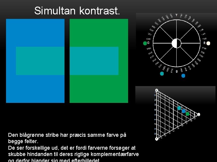 Simultan kontrast. Den blågrønne stribe har præcis samme farve på begge felter. De ser