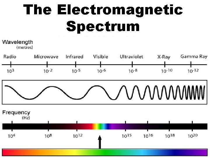 The Electromagnetic Spectrum 