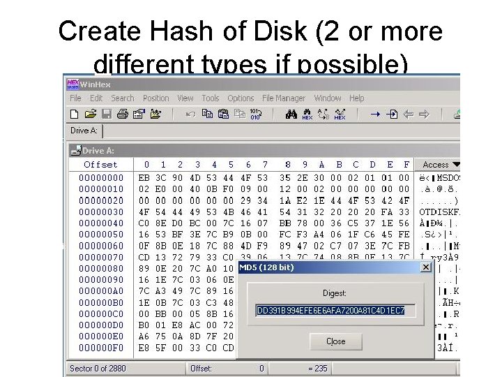 Create Hash of Disk (2 or more different types if possible) 