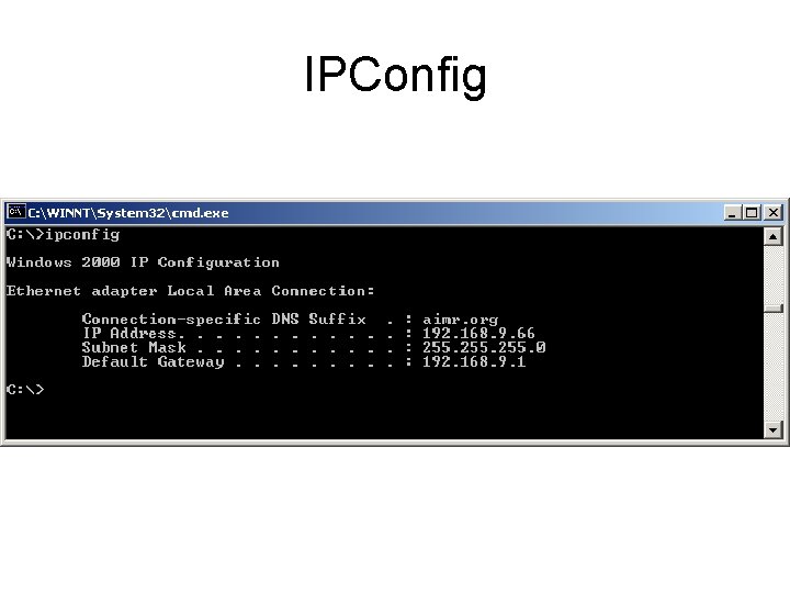 IPConfig 