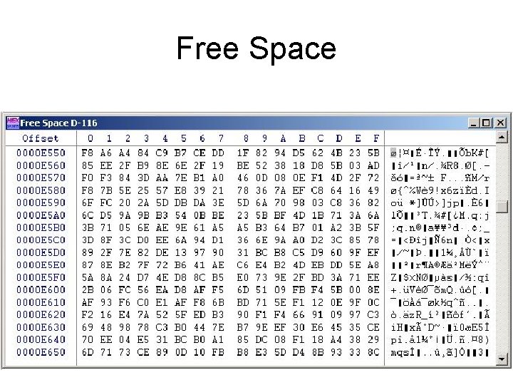 Free Space 