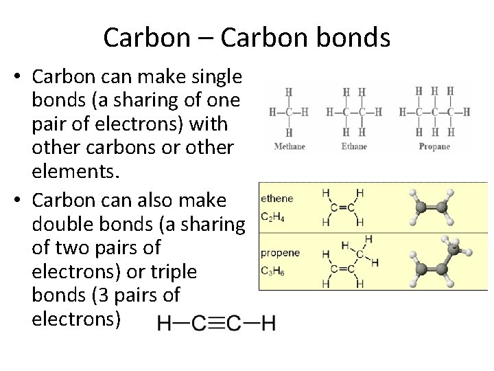 Carbon – Carbon bonds • Carbon can make single bonds (a sharing of one