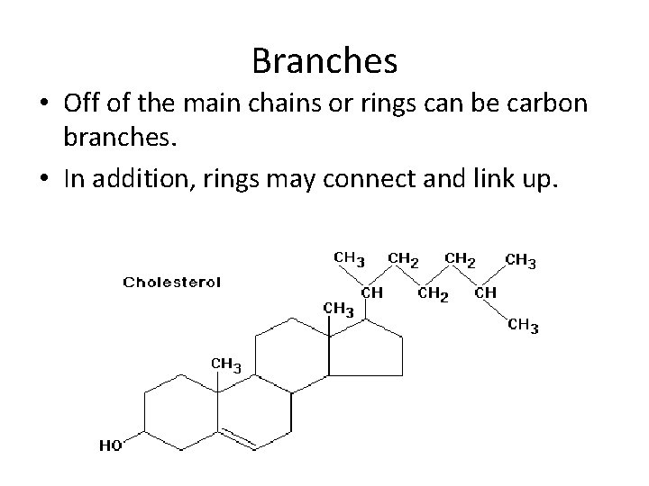 Branches • Off of the main chains or rings can be carbon branches. •