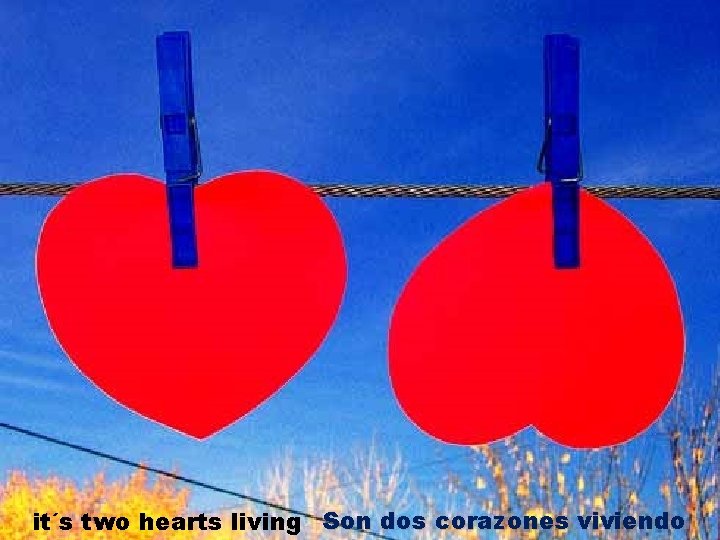 it´s two hearts living Son dos corazones viviendo 
