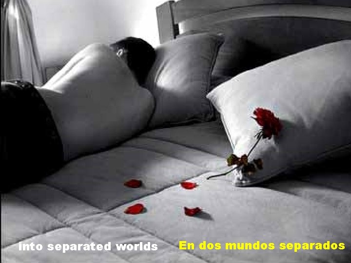 into separated worlds En dos mundos separados 