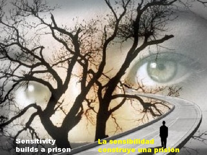 Sensitivity builds a prison La sensibilidad construye una prisión 