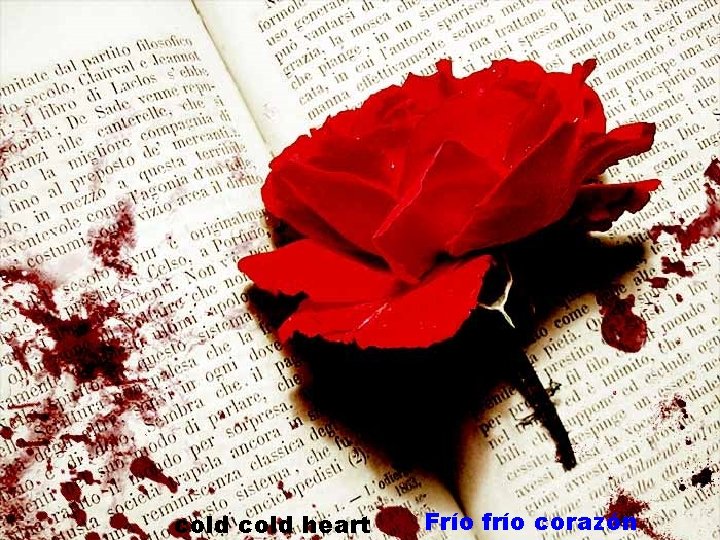 cold heart Frío frío corazón 