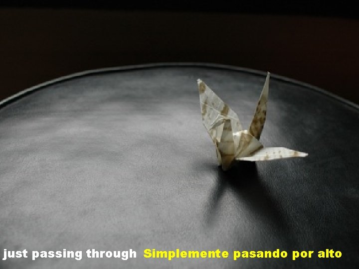 just passing through Simplemente pasando por alto 