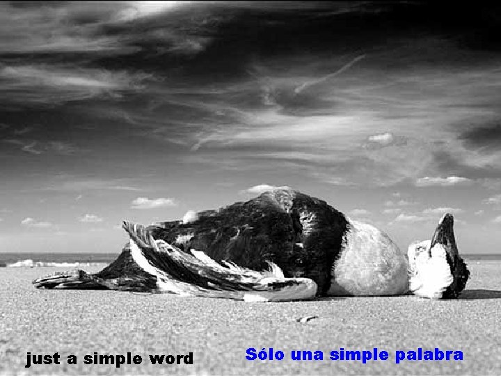 just a simple word Sólo una simple palabra 