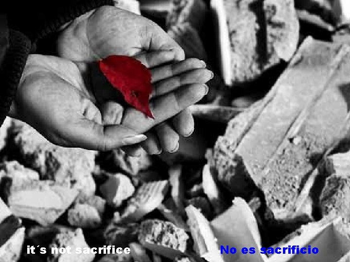 it´s not sacrifice No es sacrificio 