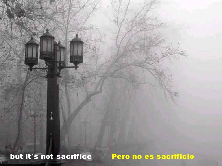 but it´s not sacrifice Pero no es sacrificio 