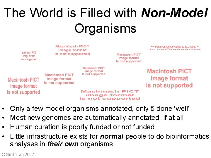 The World is Filled with Non-Model Organisms • • Only a few model organisms
