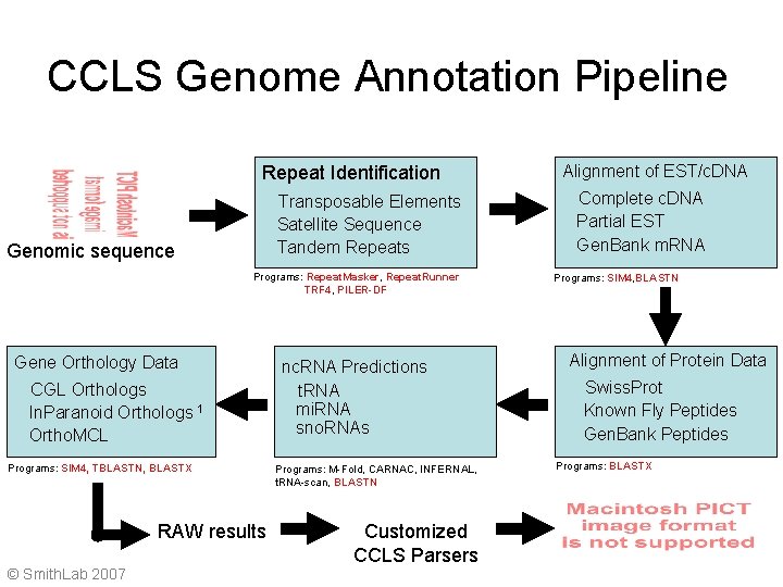 CCLS Genome Annotation Pipeline Repeat Identification Transposable Elements Satellite Sequence Tandem Repeats Genomic sequence