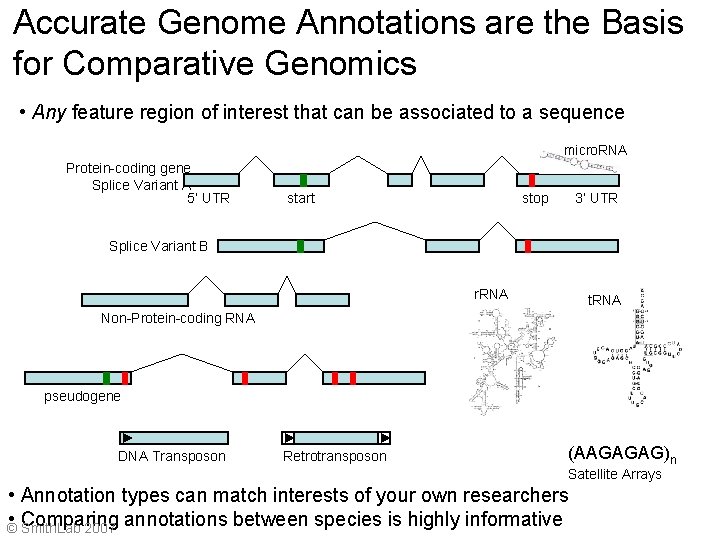 Accurate Genome Annotations are the Basis for Comparative Genomics • Any feature region of