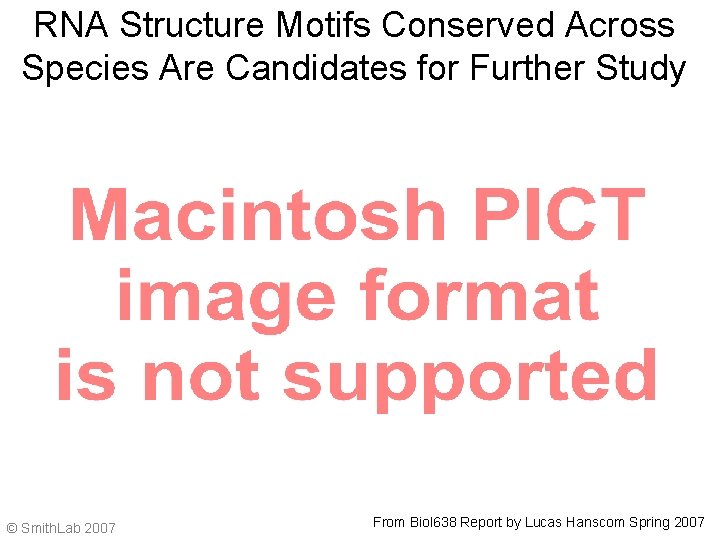 RNA Structure Motifs Conserved Across Species Are Candidates for Further Study © Smith. Lab