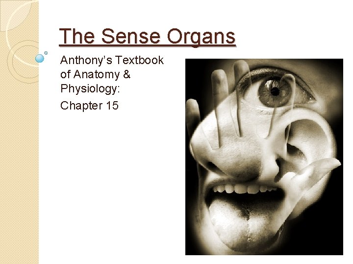 The Sense Organs Anthony’s Textbook of Anatomy & Physiology: Chapter 15 