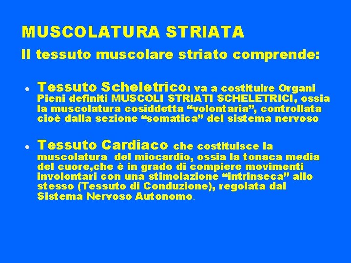 MUSCOLATURA STRIATA Il tessuto muscolare striato comprende: Tessuto Scheletrico: va a costituire Organi Tessuto