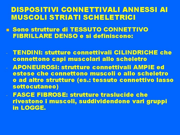 DISPOSITIVI CONNETTIVALI ANNESSI AI MUSCOLI STRIATI SCHELETRICI - - Sono strutture di TESSUTO CONNETTIVO