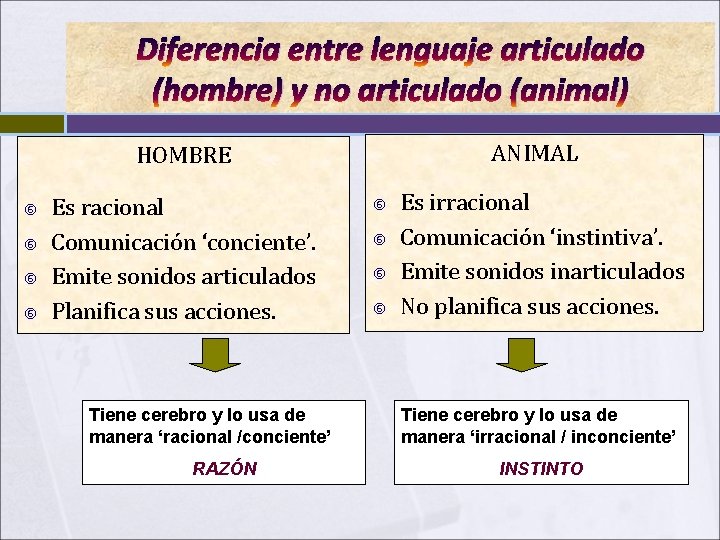 Diferencia entre lenguaje articulado (hombre) y no articulado (animal) ANIMAL HOMBRE Es racional Comunicación Diferencia entre lenguaje articulado (hombre) y no articulado (animal) ANIMAL HOMBRE Es racional Comunicación