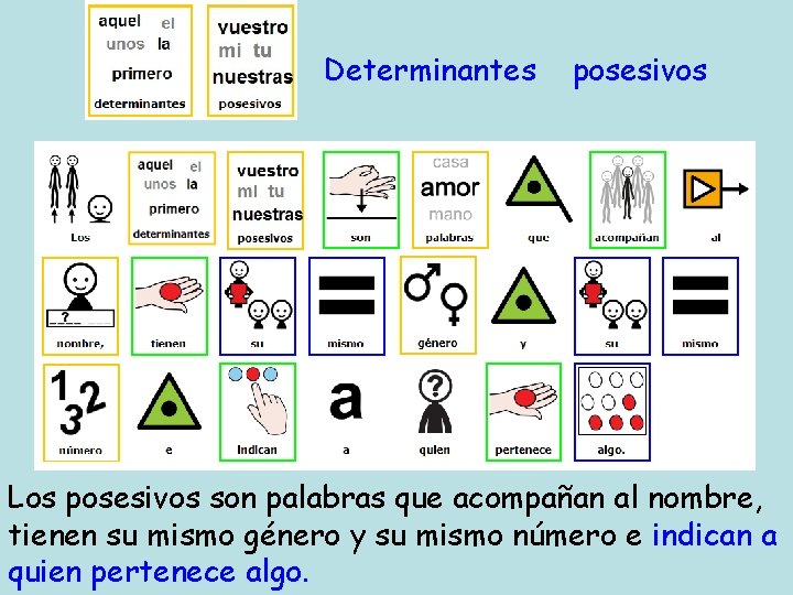 Determinantes posesivos Los posesivos son palabras que acompañan al nombre, tienen su mismo género